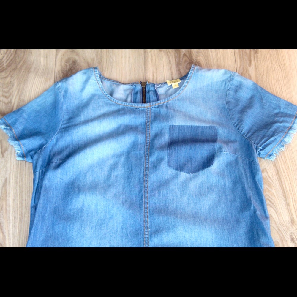 True Craft Denim Dress